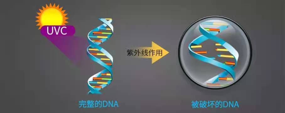 ���㲩��(�й�)�ٷ���վ