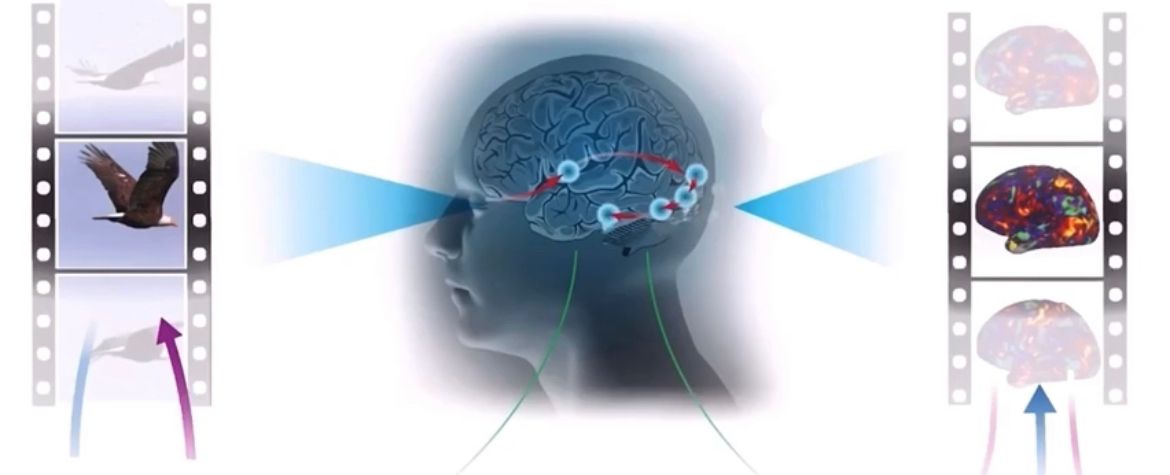 ���㲩��(�й�)�ٷ���վ