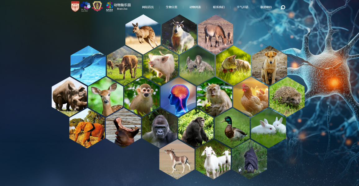 ���㲩��(�й�)�ٷ���վ