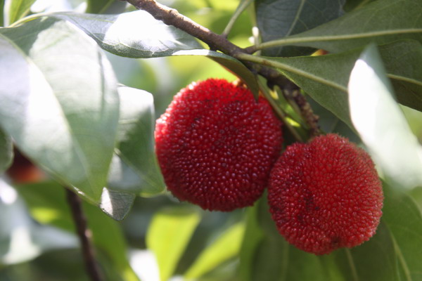 ÈÎÄ㲩¡¤(Öйú)¹Ù·½ÍøÕ¾