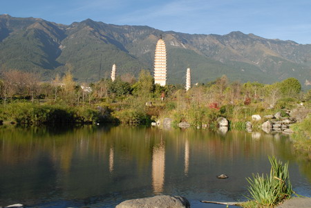 ���㲩��(�й�)�ٷ���վ