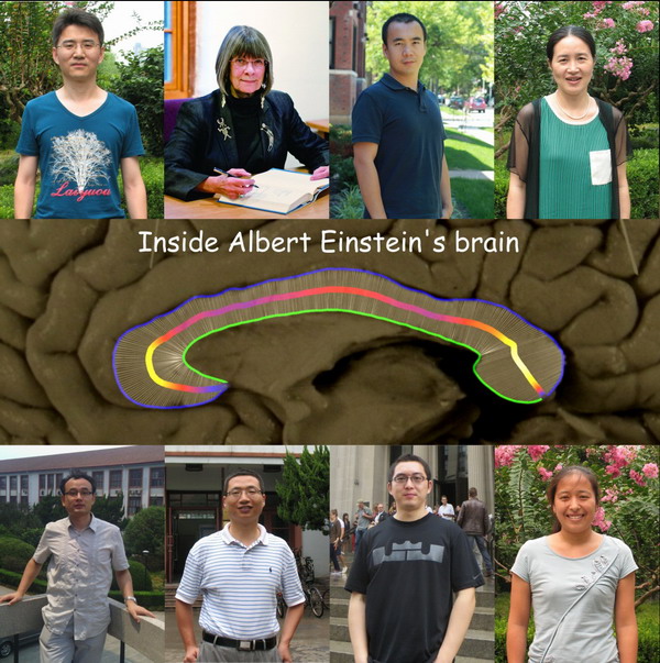 ���㲩��(�й�)�ٷ���վ