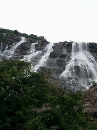 ���㲩��(�й�)�ٷ���վ