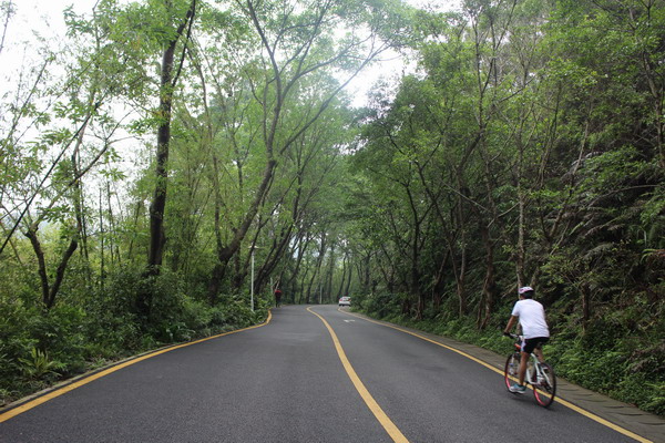 ���㲩��(�й�)�ٷ���վ