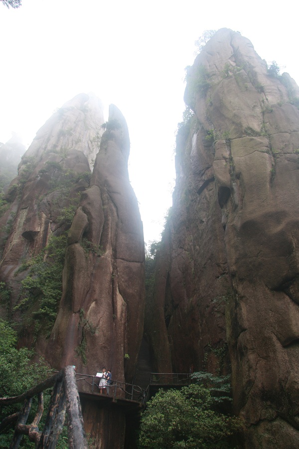 ���㲩��(�й�)�ٷ���վ