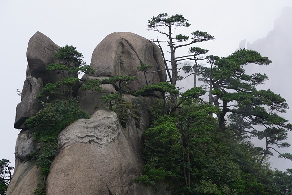 ���㲩��(�й�)�ٷ���վ