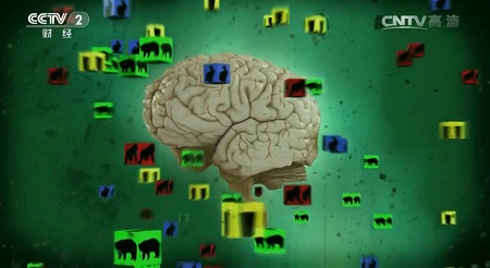 ���㲩��(�й�)�ٷ���վ