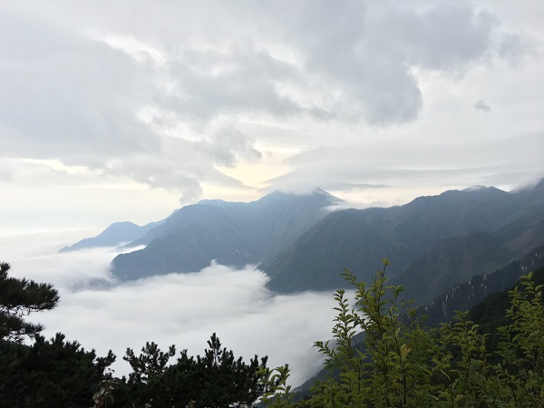 ���㲩��(�й�)�ٷ���վ