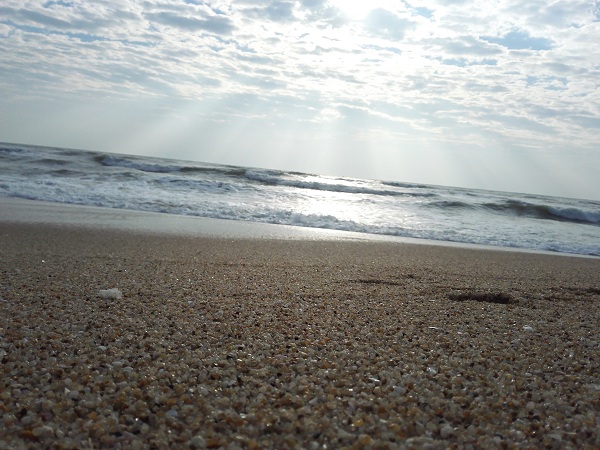 ���㲩��(�й�)�ٷ���վ