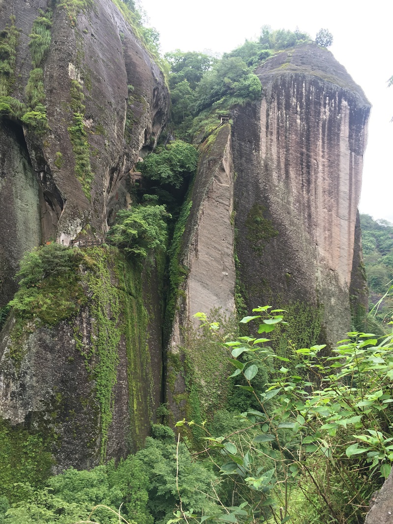 ���㲩��(�й�)�ٷ���վ