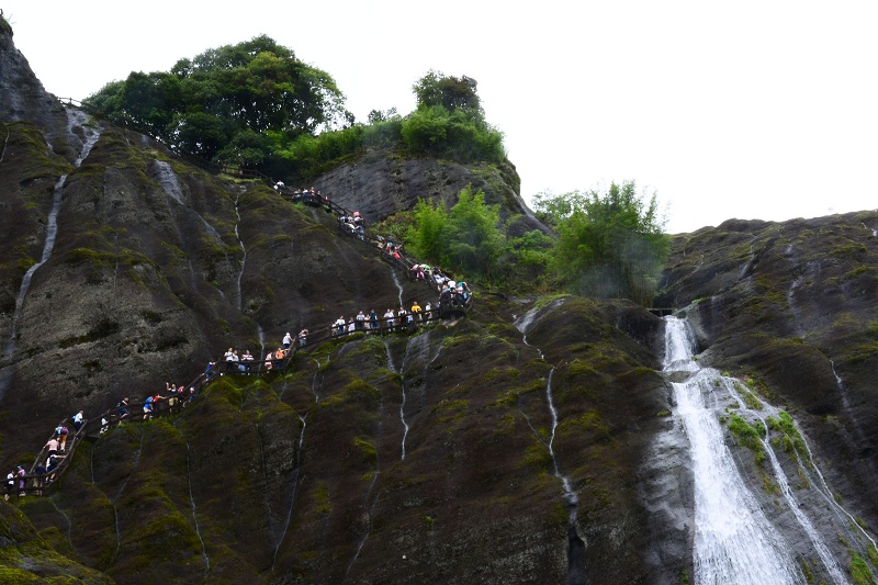 ���㲩��(�й�)�ٷ���վ