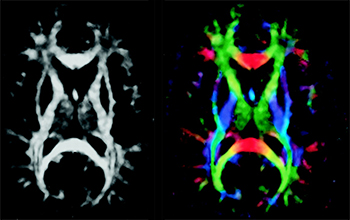 ÈÎÄ㲩¡¤(Öйú)¹Ù·½ÍøÕ¾